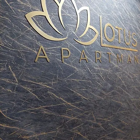 Lotus Apartment